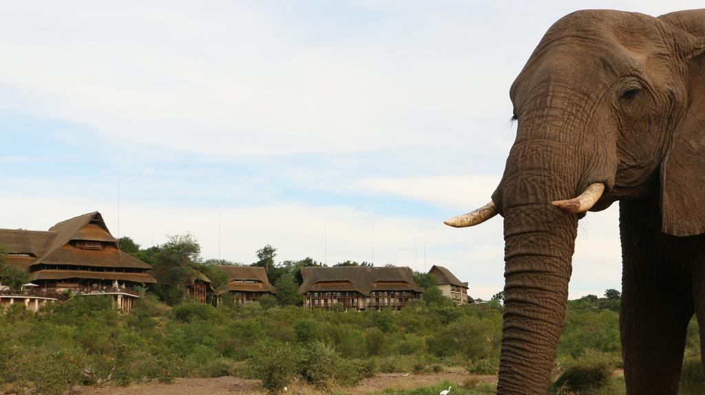 Victoria Falls Safari Suites Exteriör bild